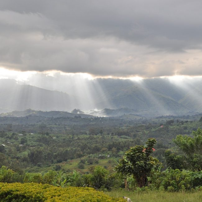 Foothills of the Rwenzori Mountains